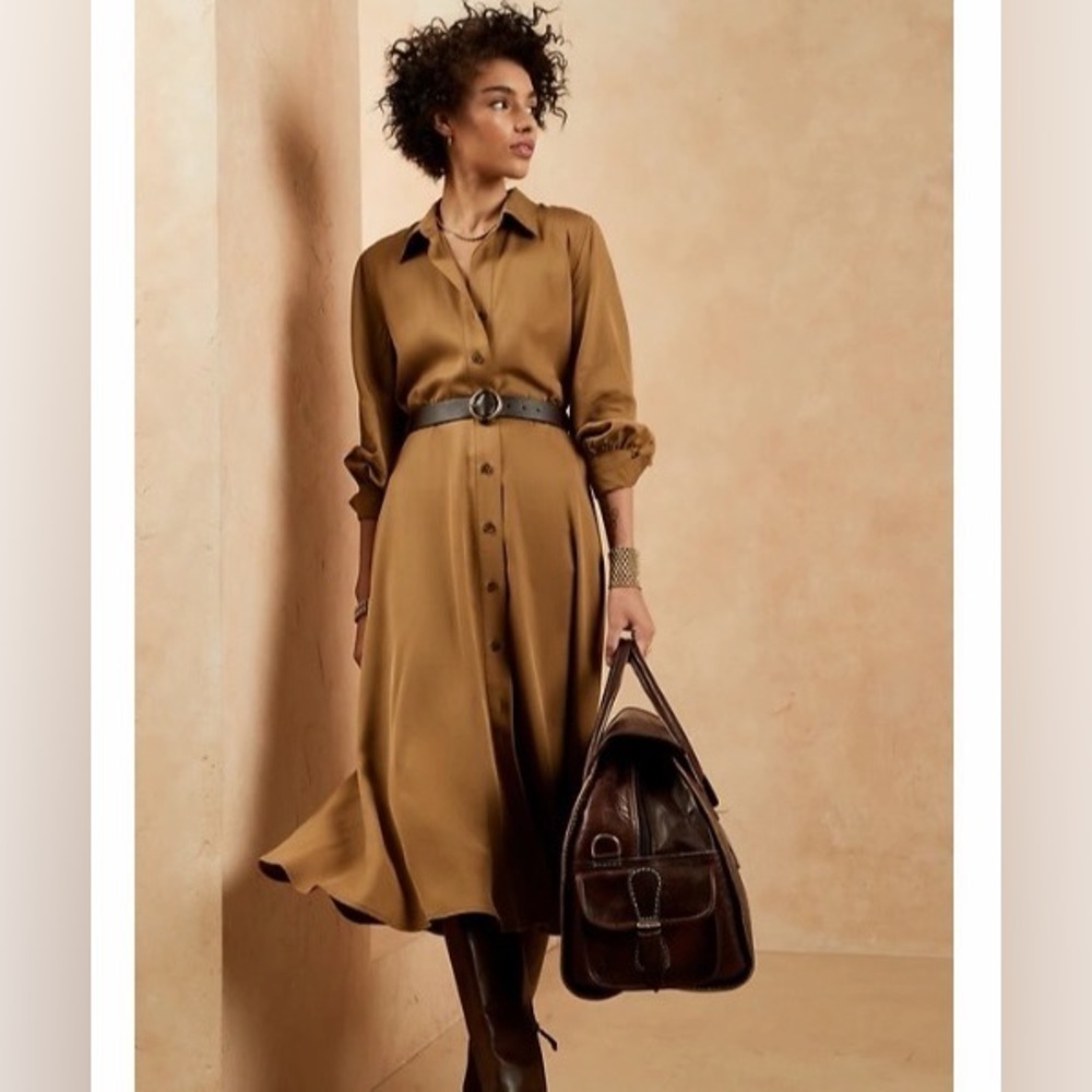 Banana Republic Tencel Long Sleeve Belted Fit&Flare Shirt Dress Gold Chestnut XS